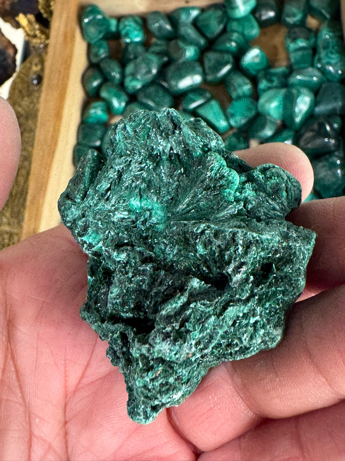 Pierre Malachite #7