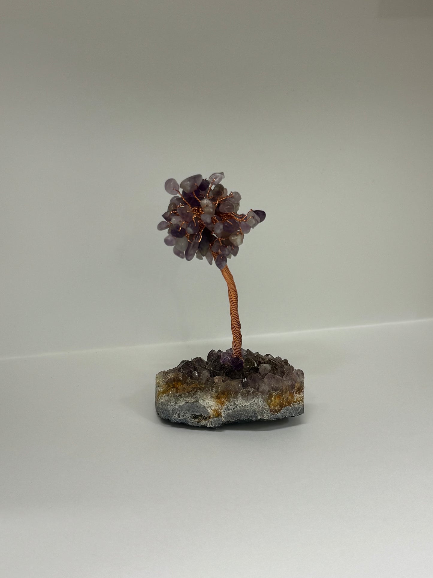 Arbre d’Éveil – Améthyste