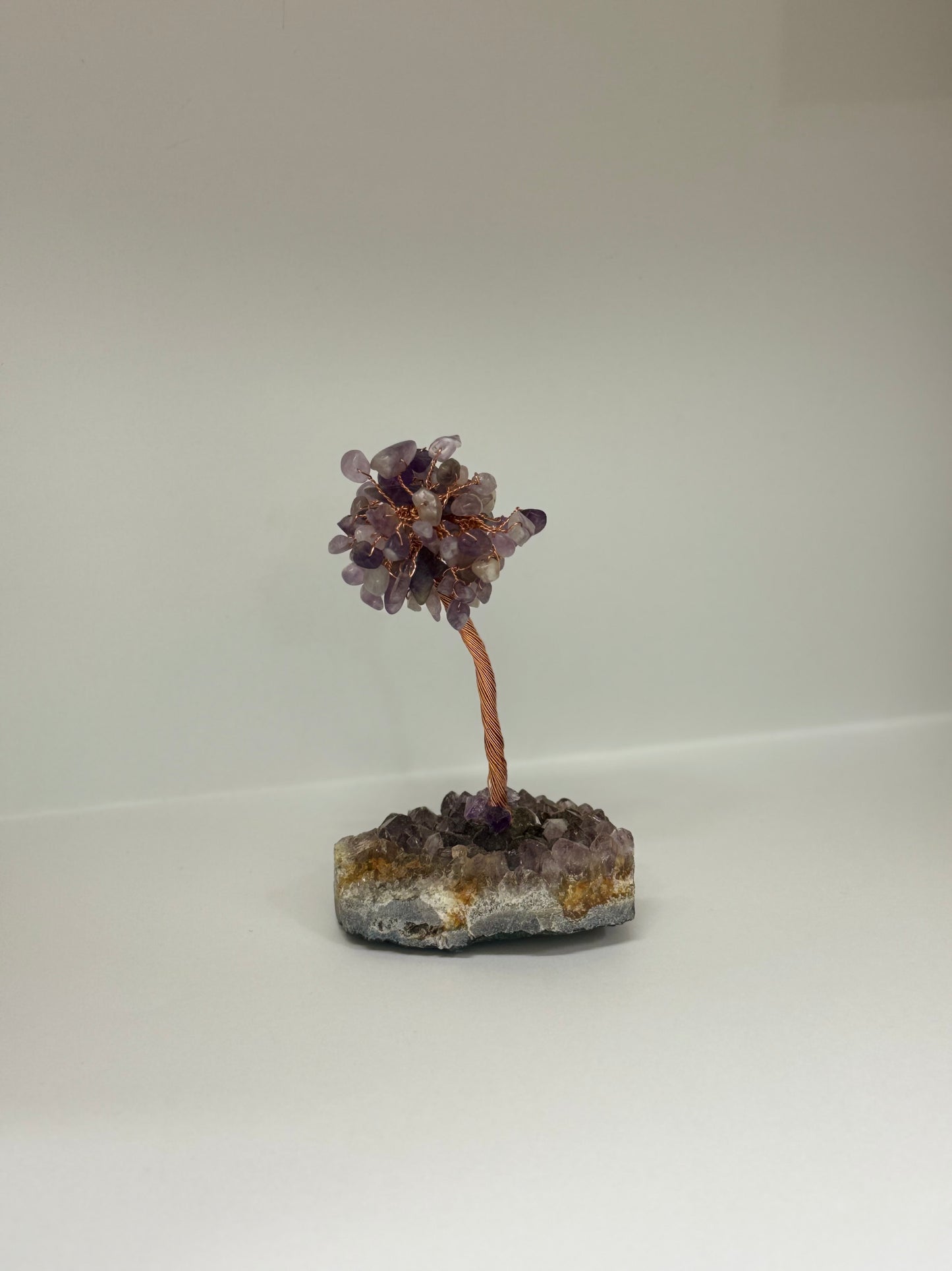 Arbre d’Éveil – Améthyste