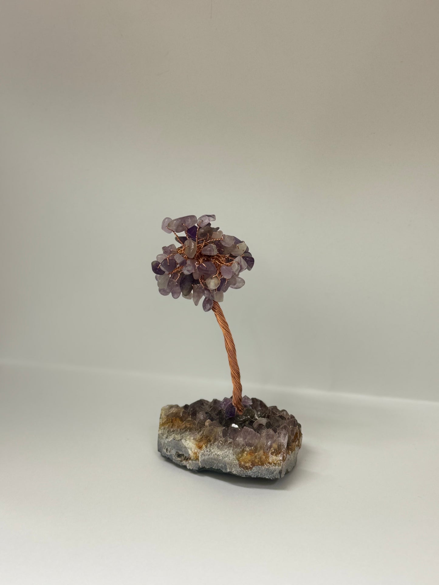 Arbre d’Éveil – Améthyste
