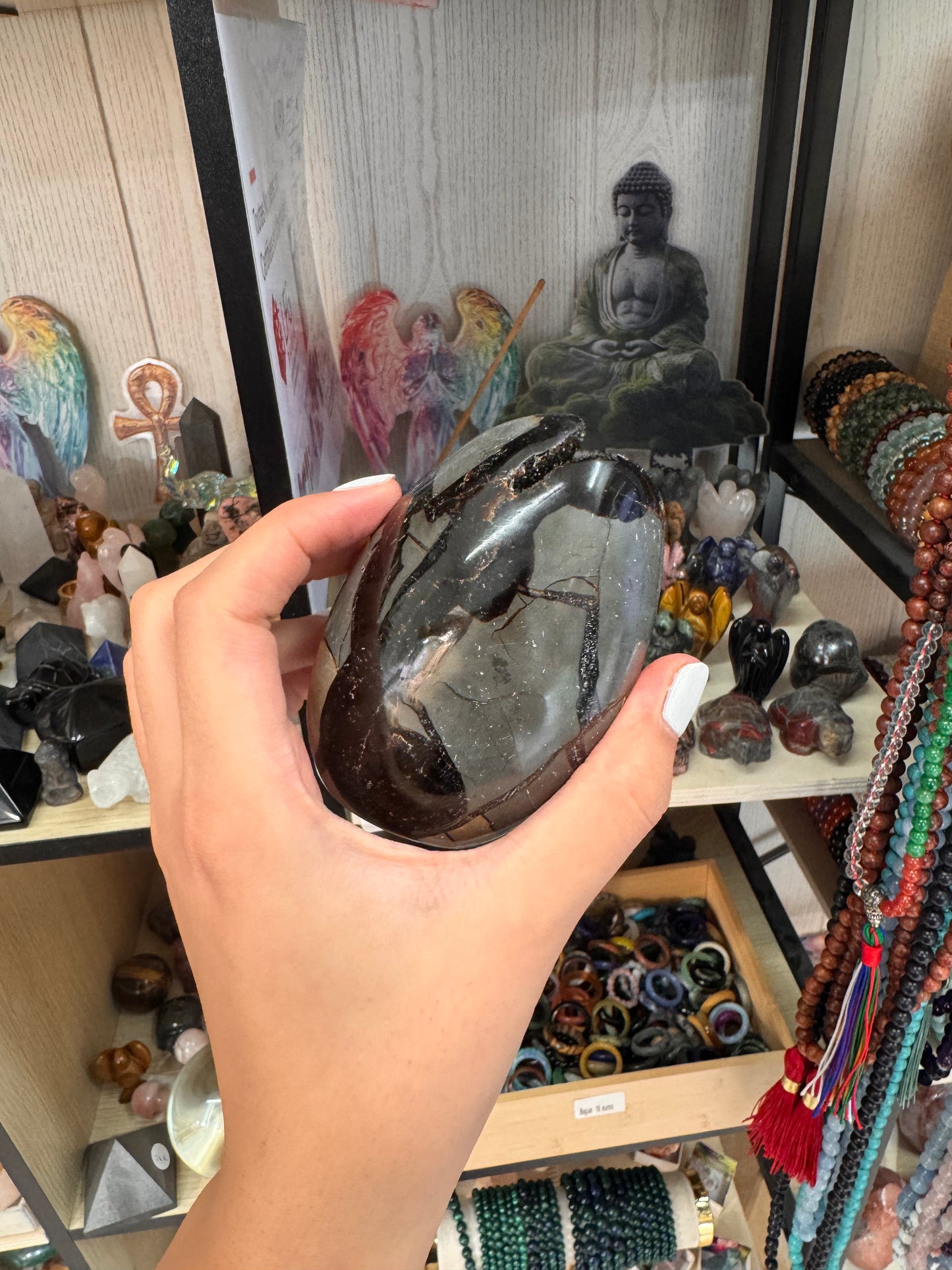 Septaria – Pierre de Dragon Druzy