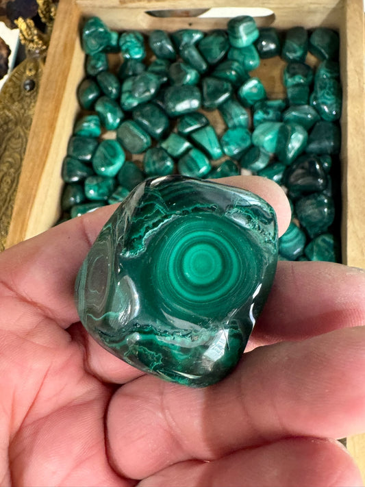 Pierre Malachite #1